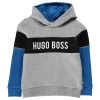 Boss Logo Hoodie