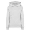 Boss Boss Tonal Logo Over The Head Hoodie