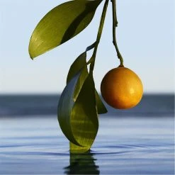 Boss BOSS Bottled Infinite Eau de Parfum -Outlet The Lux Evolve Store 75238969 xxl a4