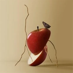 Boss BOSS Bottled Eau de Parfum -Outlet The Lux Evolve Store 75341569 xxl a2