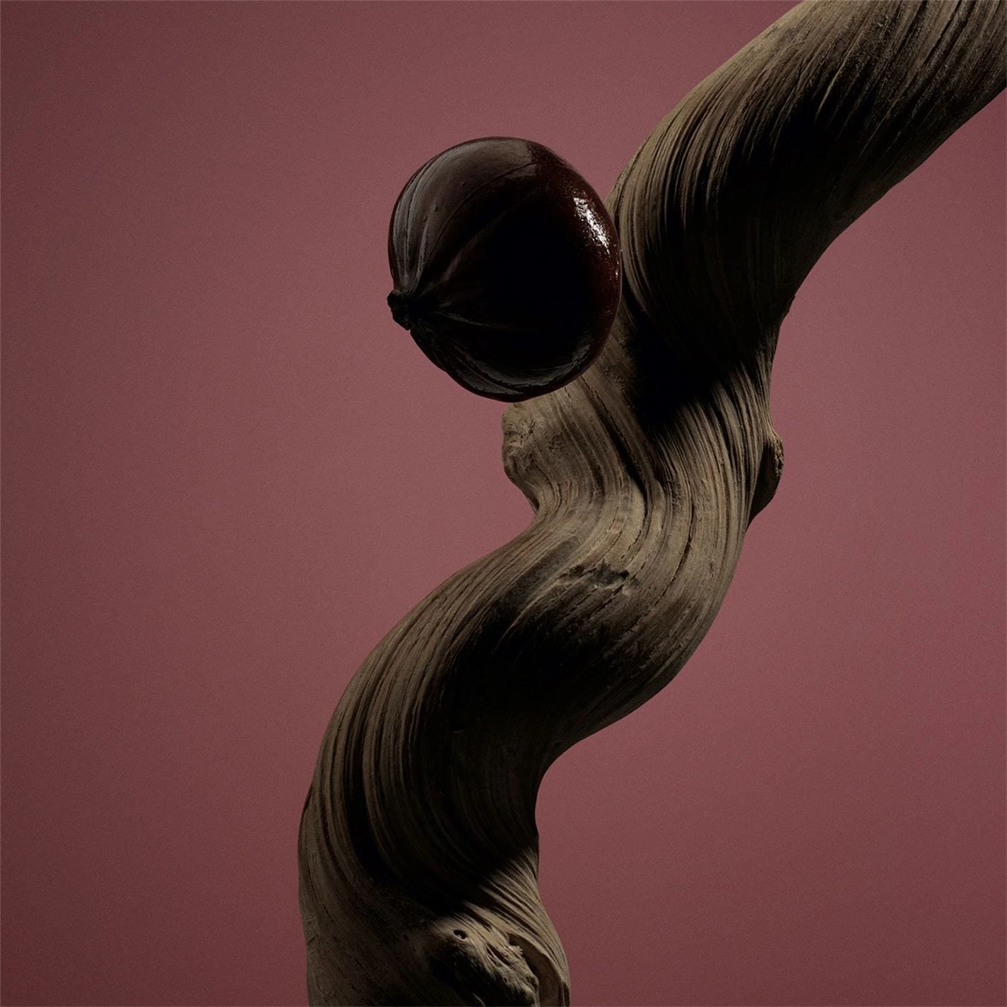 Boss BOSS The Scent Absolute For Him Eau de Parfum 6 Boss BOSS The Scent Absolute For Him Eau de Parfum - Image 6