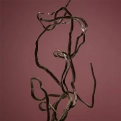 Boss BOSS The Scent Absolute For Him Eau de Parfum 13 Boss BOSS The Scent Absolute For Him Eau de Parfum -Outlet The Lux Evolve Store 75387469 xxl a7