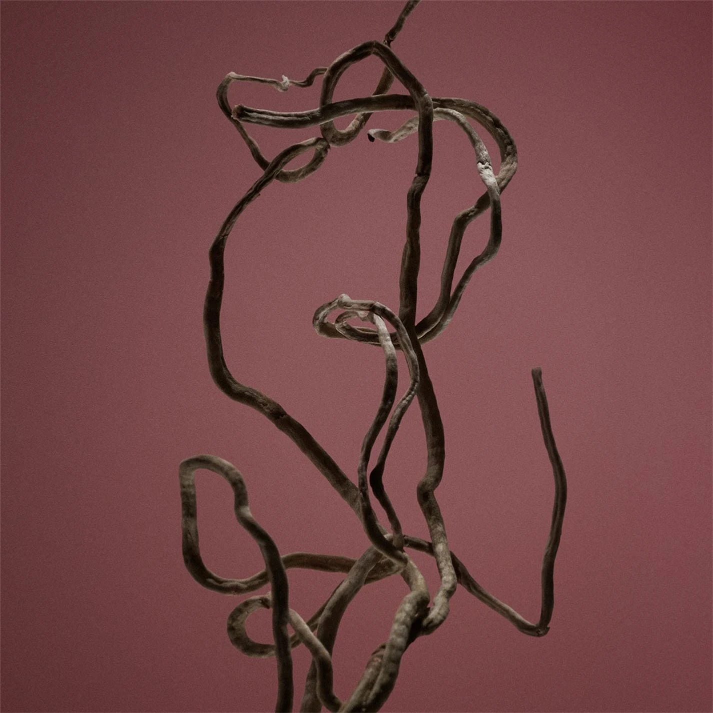 Boss BOSS The Scent Absolute For Him Eau de Parfum 7 Boss BOSS The Scent Absolute For Him Eau de Parfum - Image 7