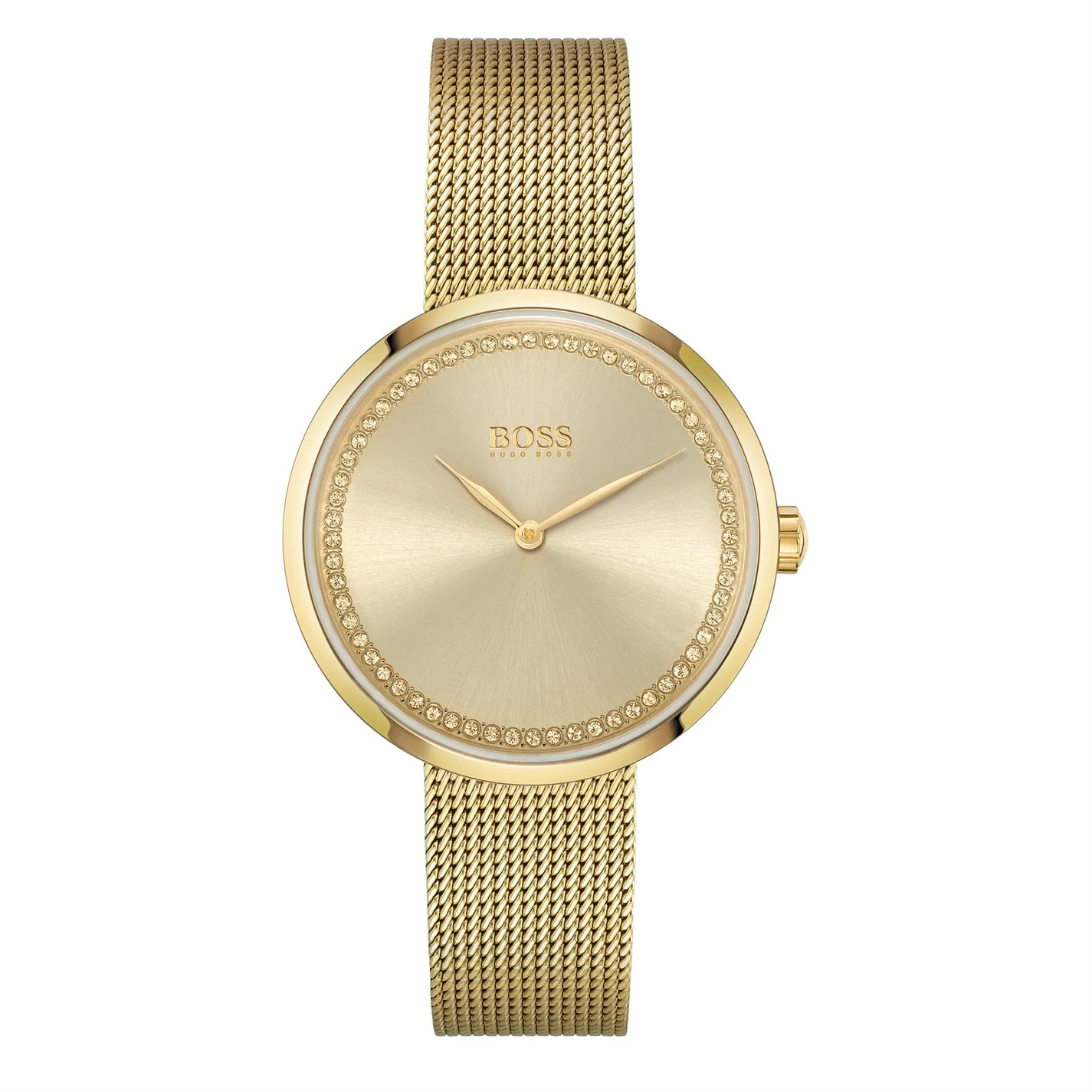 Boss Ladies BOSS Praise Gold IP Mesh Strap Watch 1 Boss Ladies BOSS Praise Gold IP Mesh Strap Watch