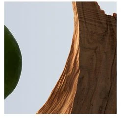 Boss Bottled Eau De Toilette 13 Boss Bottled Eau De Toilette -Outlet The Lux Evolve Store 75997569 xxl a6