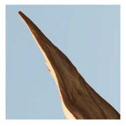 Boss Bottled Tonic Eau de Toilette For Men -Outlet The Lux Evolve Store 75997769 xxl a5