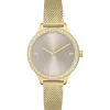 Hugo Ladies HUGO #FLASH Light Gold Mesh Strap Watch